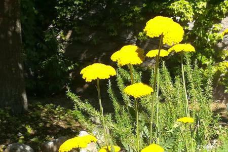B&B Villaggio Sole Sulmona Kültér fotó